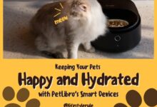 Petlibro Image