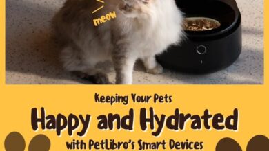 Petlibro Image